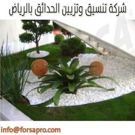 شركة زراعة اشجار الحدائق بالرياض