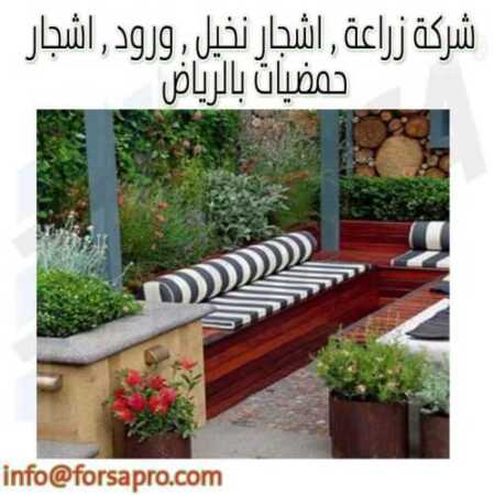 شركة زراعة اشجار نخيل ورود