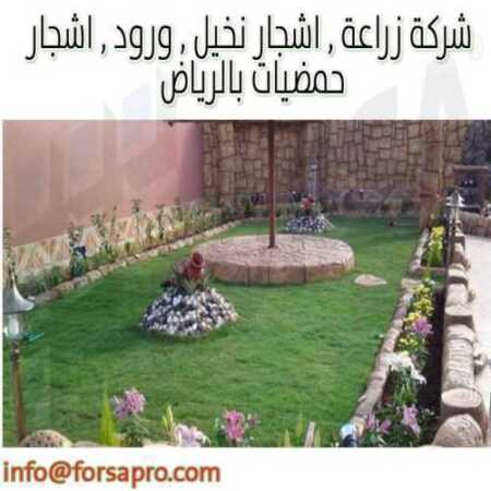 شركة زراعة , اشجار نخيل , ورود , اشجار حمضيات بالرياض